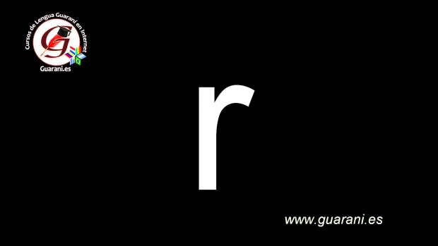 la academia de la lengua guarani