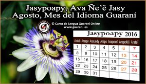 Agosto mes calendario guarani 2016