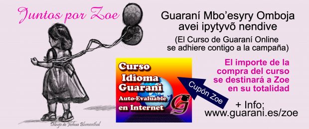 juntos x ZOE guarani online
