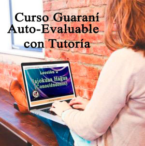 curso guarani tutoria 600 300x30 21